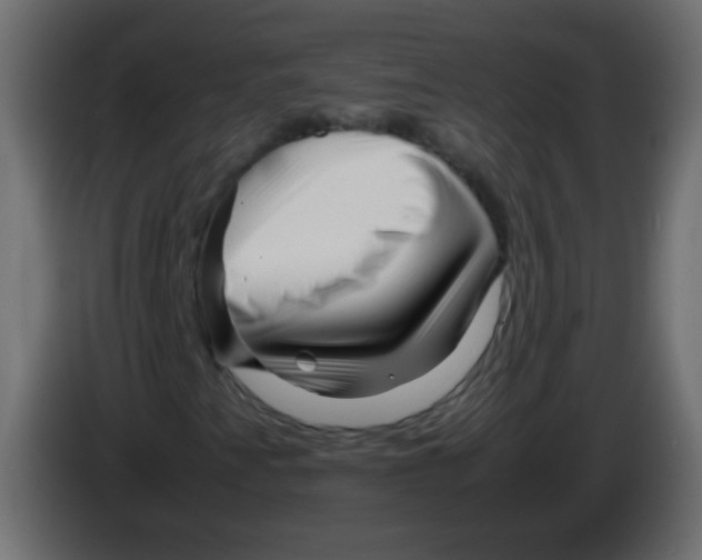 X0000082971345200703020225