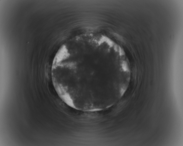 X0000082971346200703020225