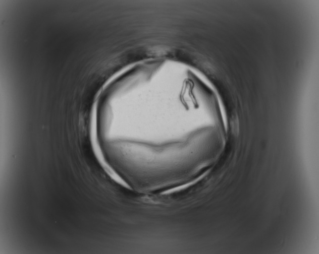 X0000082971347200703020225