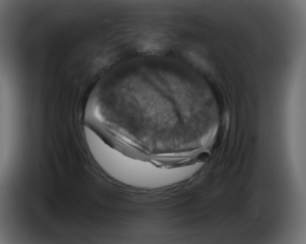 X0000082971348200703020225