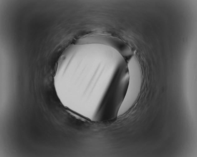 X0000082971349200703020225