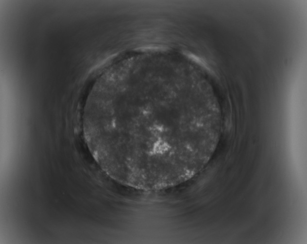 X0000082971350200703020225