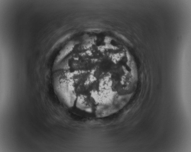 X0000082971351200703020225