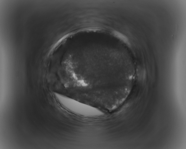 X0000082971352200703020225