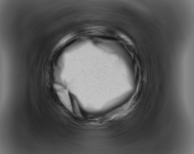 X0000082971354200703020225