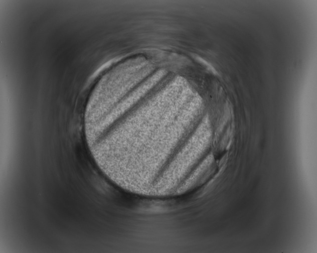 X0000082971355200703020225