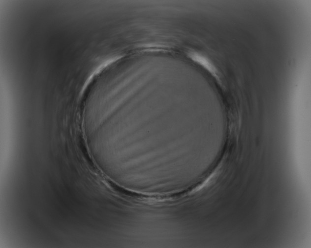 X0000082971357200703020225