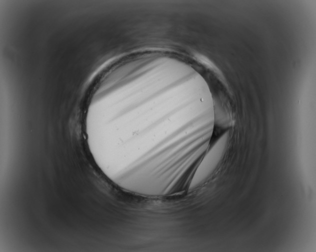 X0000082971360200703020225