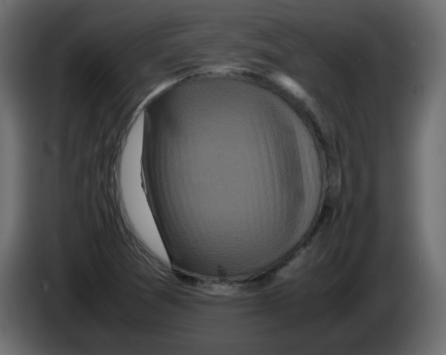 X0000082971361200703020225