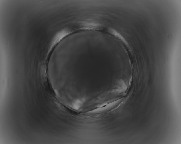 X0000082971362200703020225