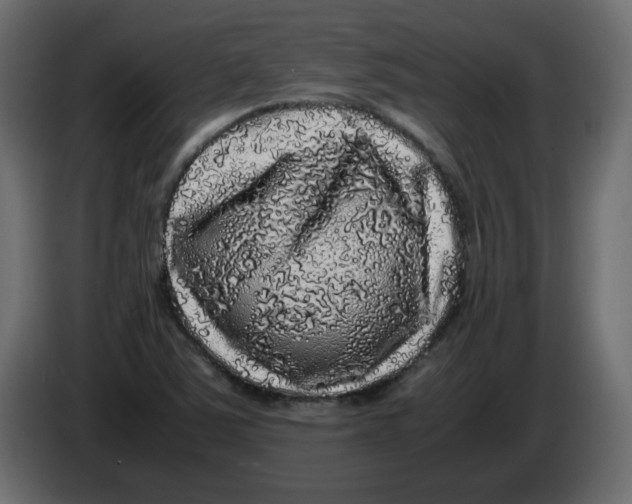 X0000082971363200703020225