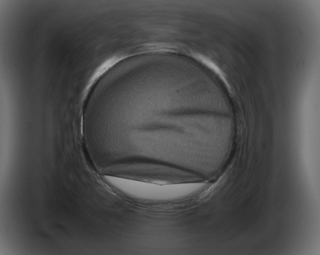 X0000082971365200703020225