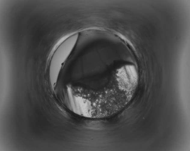 X0000082971367200703020225