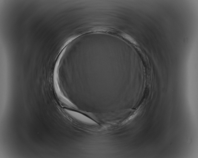 X0000082971369200703020225