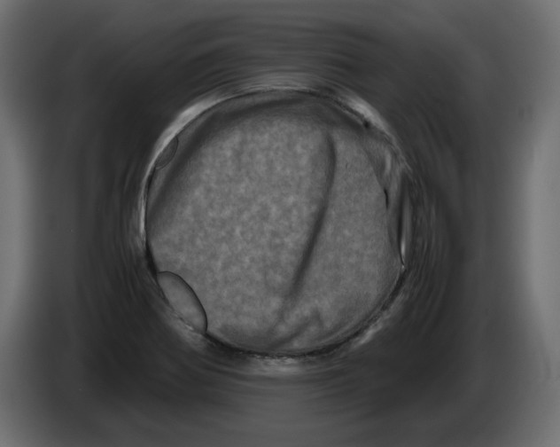 X0000082971370200703020225