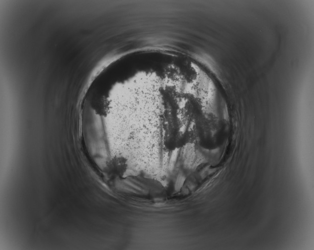 X0000082971371200703020225