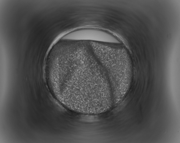 X0000082971374200703020225