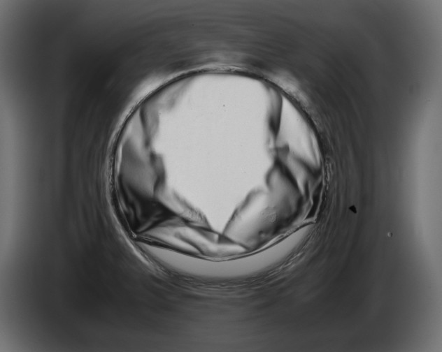 X0000082971375200703020225