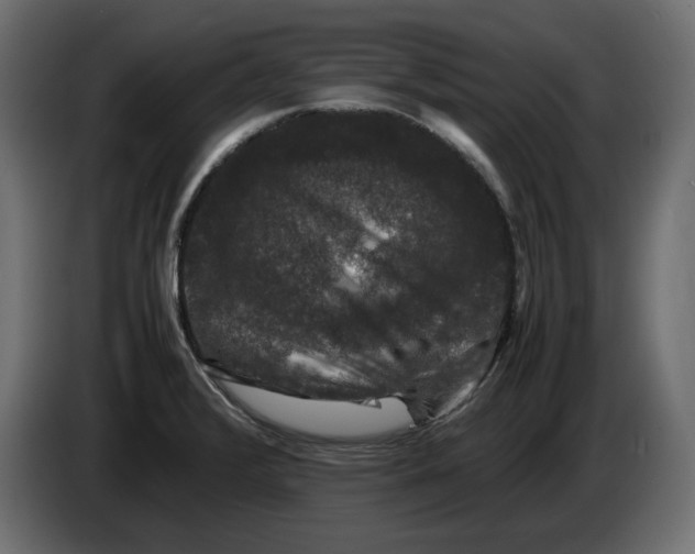 X0000082971376200703020225