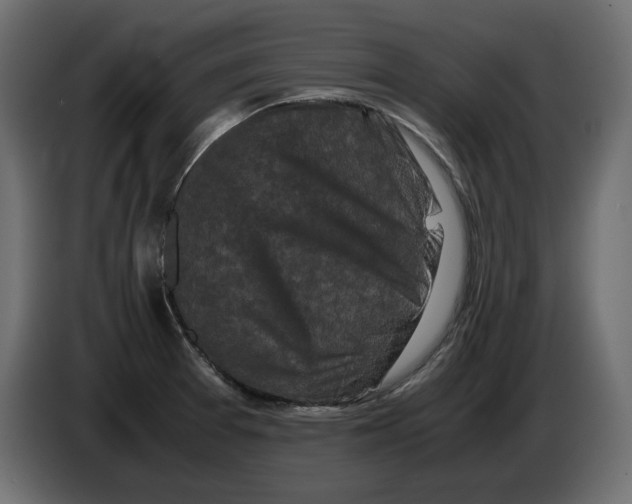 X0000082971377200703020225