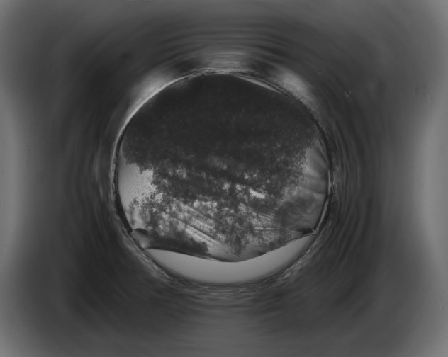 X0000082971378200703020225