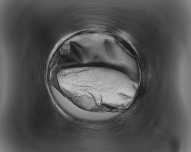 X0000082971379200703020225