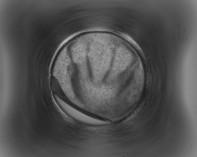 X0000082971380200703020225