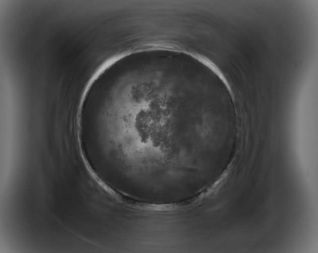 X0000082971381200703020225