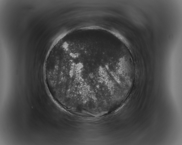 X0000082971382200703020225