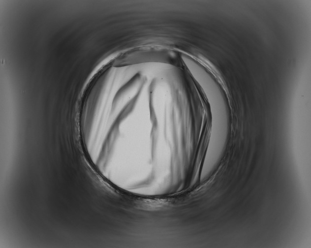 X0000082971384200703020225