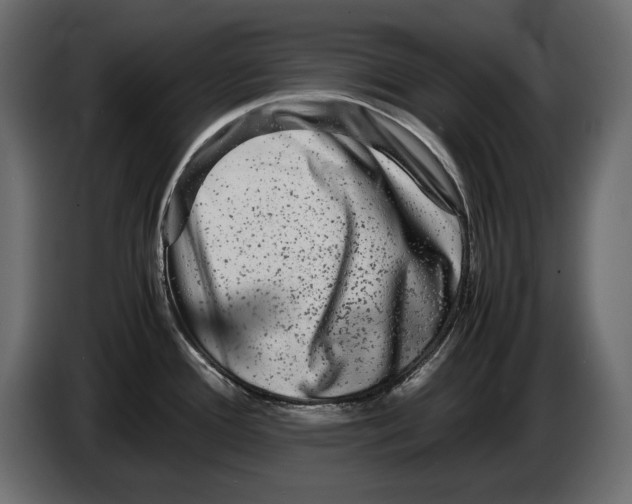 X0000082971388200703020225