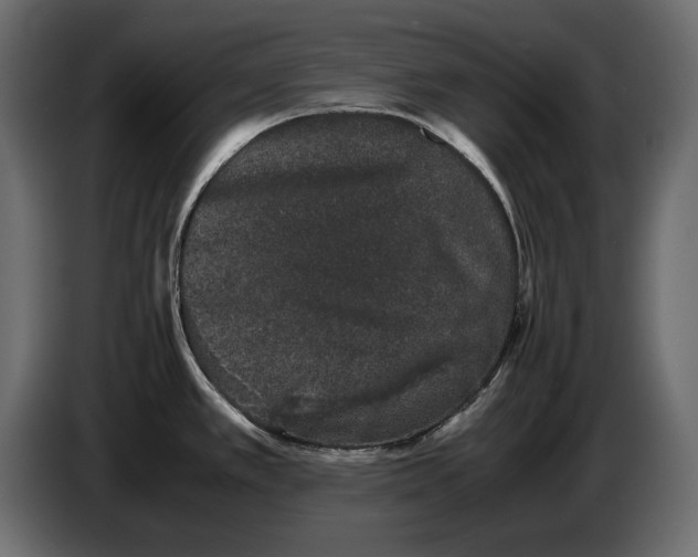 X0000082971389200703020225