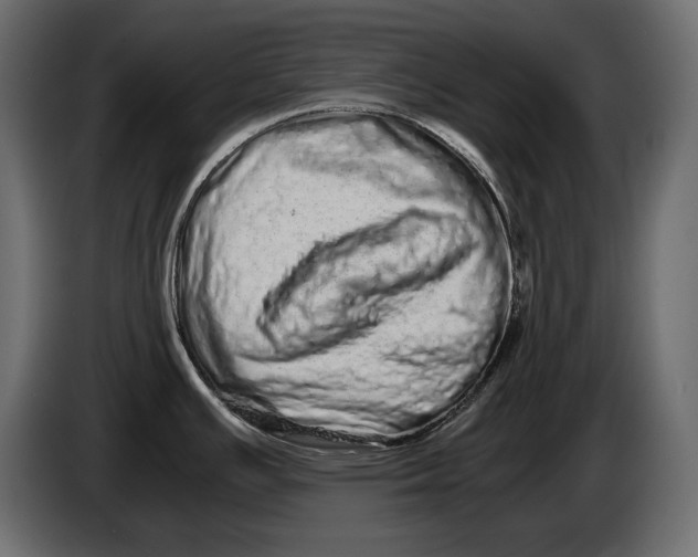 X0000082971391200703020225