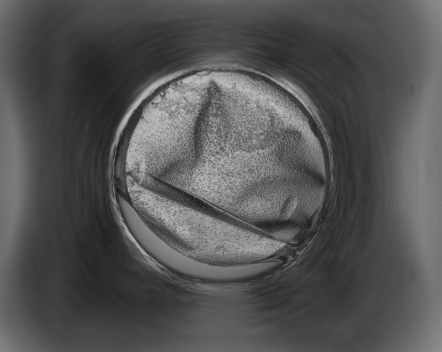 X0000082971392200703020225