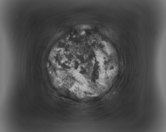 X0000082971393200703020224