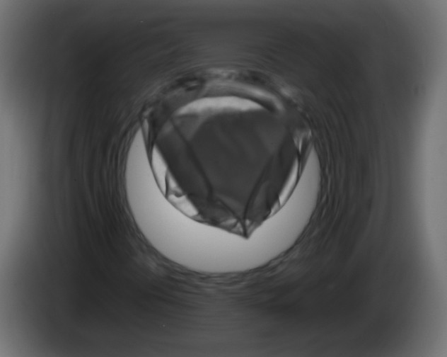 X0000082971394200703020224