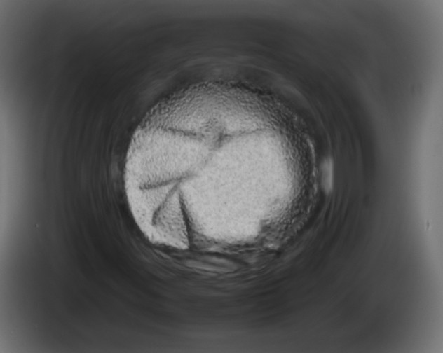 X0000082971395200703020224