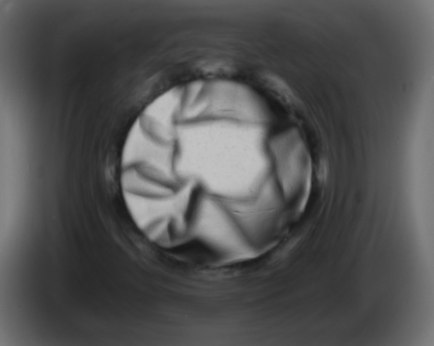 X0000082971396200703020224