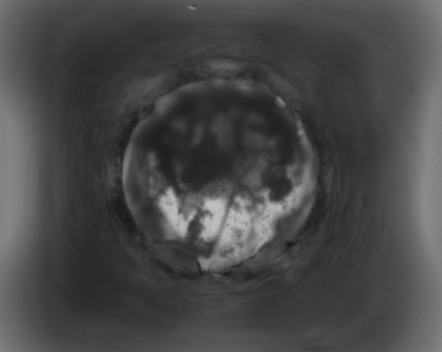 X0000082971397200703020224