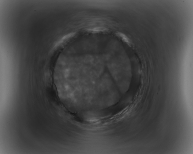 X0000082971398200703020224