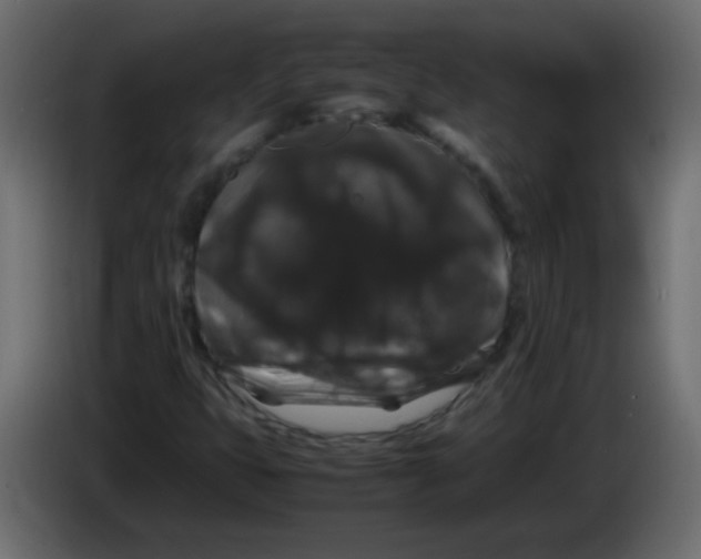 X0000082971399200703020224