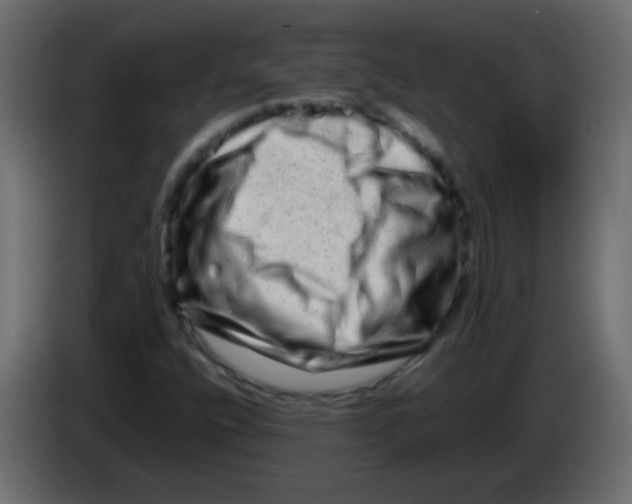 X0000082971400200703020224