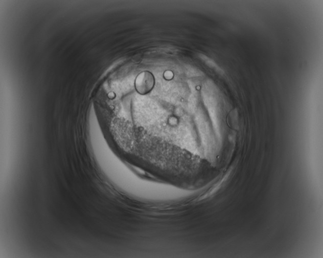 X0000082971401200703020224