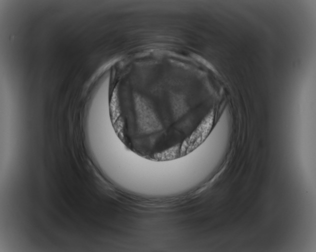 X0000082971402200703020224