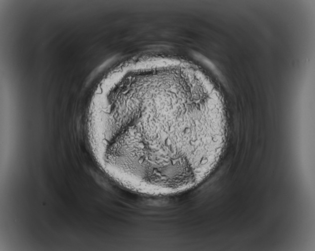 X0000082971403200703020224