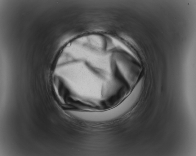 X0000082971404200703020224