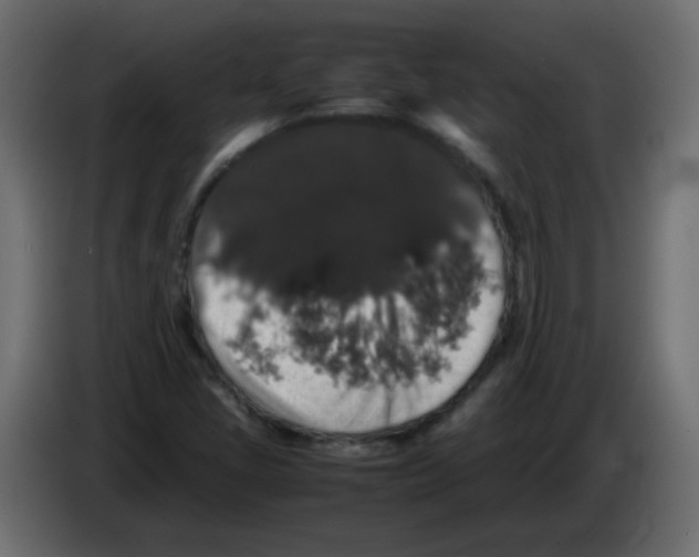 X0000082971405200703020224