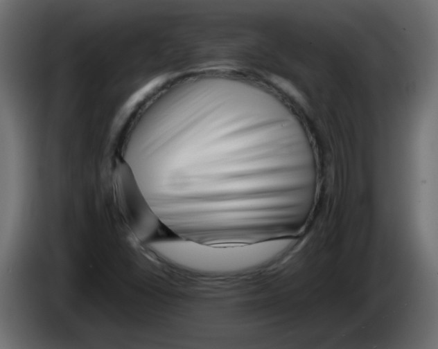 X0000082971406200703020224