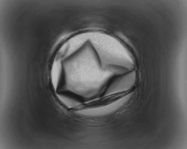 X0000082971408200703020224