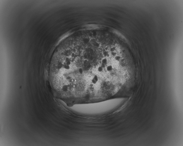 X0000082971409200703020224